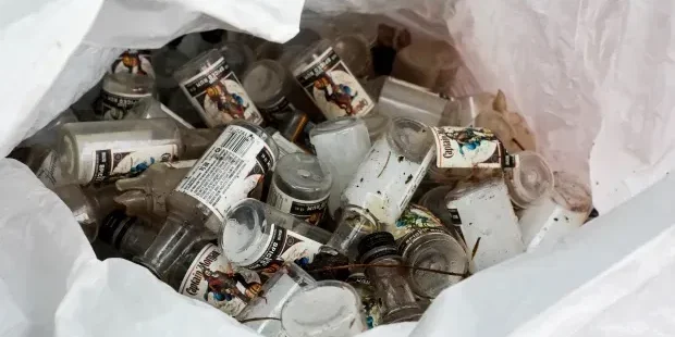 THC-l-nips-legislation-01